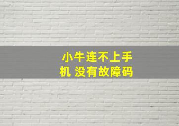 小牛连不上手机 没有故障码